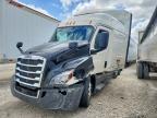 2019 Freightliner Cascadia 116
