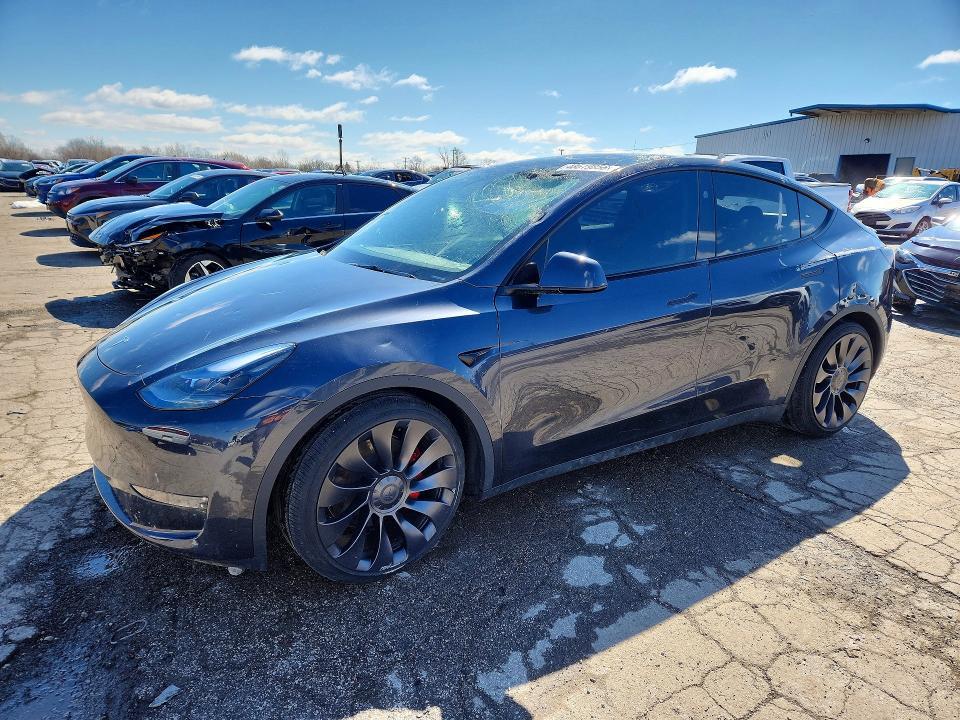 2024 Tesla Model y