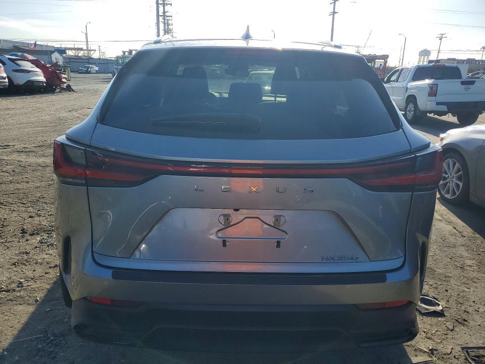 2024 Lexus Nx 250 Base