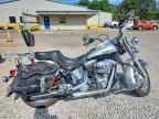 2003 Harley-Davidson Flstci Anniversary