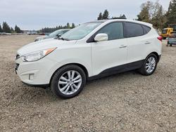 Hyundai salvage cars for sale: 2010 Hyundai Tucson Limited
