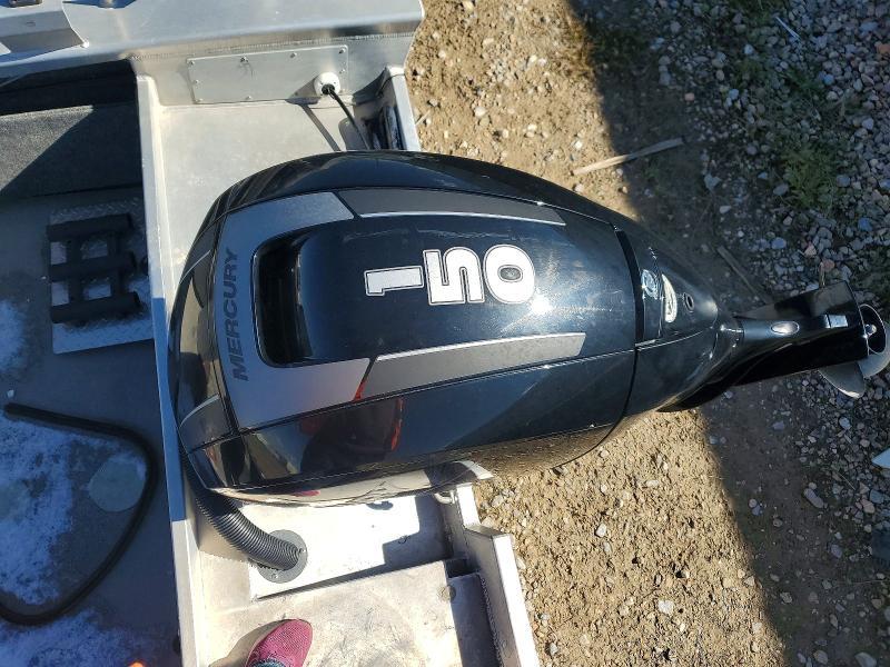 2019 AHQ 2019 Other aqh 186 Rush Thunder Jet-boat