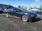2013 Dodge Charger sxt