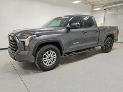 Salvage trucks for sale at Phoenix, AZ auction: 2023 Toyota Tundra SR5