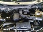 2009 Ford F150