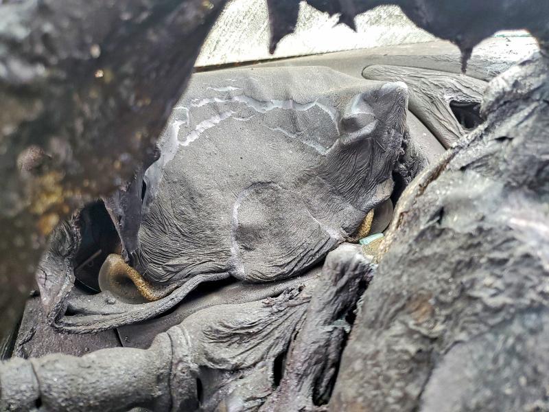 2017 Hyundai Elantra gt Base