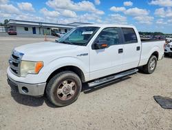 Salvage trucks for sale at Lumberton, NC auction: 2014 Ford F150 Supercrew