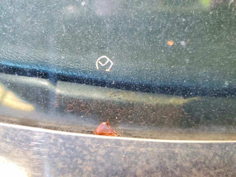 1968 Cadillac Fleetwood Brougham