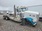 2019 Peterbilt 389 Semi Truck