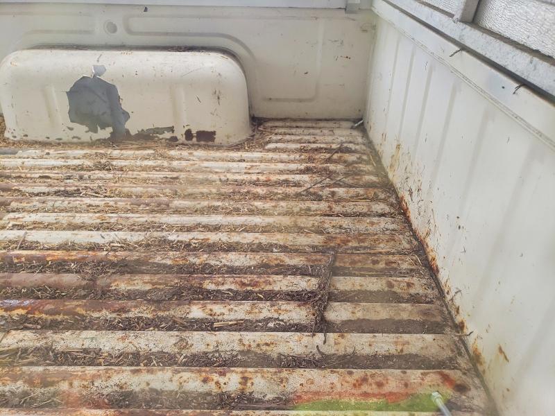 1986 Nissan Truck Base