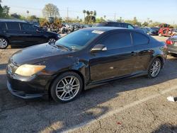 Scion TC salvage cars for sale: 2005 Scion Tc Base