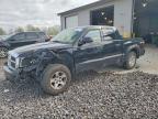 2005 Dodge Dakota Quad SLT