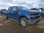2024 Ford F150 XLT