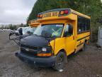2013 Collins Bantam G3500-School Bus