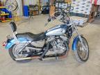2006 Harley-Davidson XL883 C