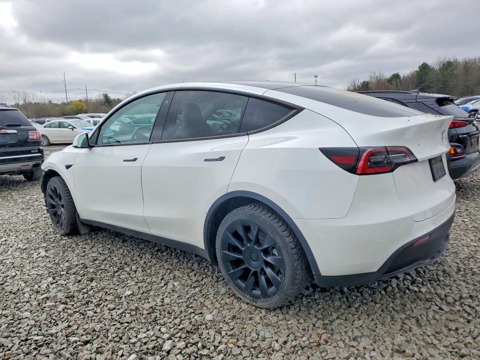2020 Tesla Model y