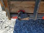 2007 Utility Trailer 2010 Utility Trailer