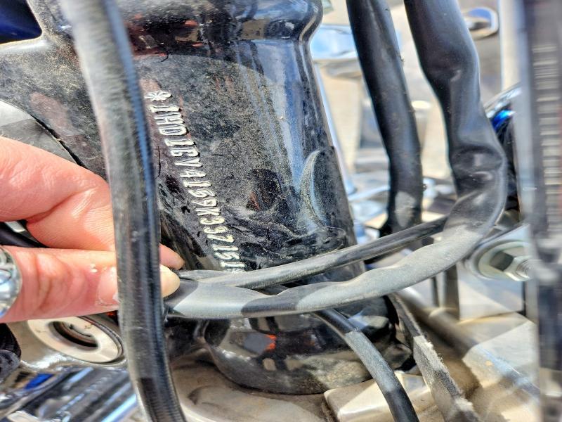 2009 Harley-Davidson Fxdc