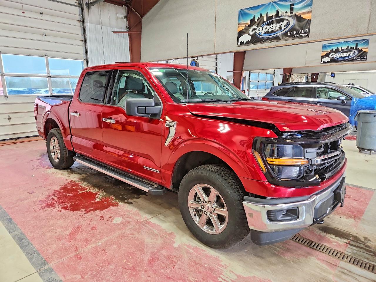 2025 Ford F150 XLT