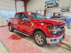 2025 Ford F150 XLT