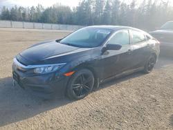 2017 Honda Civic lx en venta en Cookstown, ON