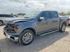 2024 Ford F150 XLT