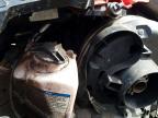 2021 Skidoo Skandic WT 600 EFI R