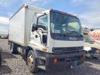 2006 Isuzu T7F BOX Truck