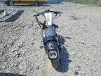 2006 Harley-Davidson XL883 L