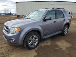 2008 Ford Escape xlt en venta en Rocky View County, AB