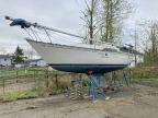1984 Sail Boat Boat-Boat
