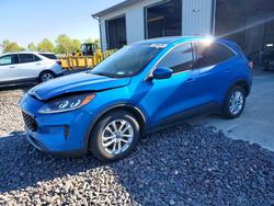 Ford Escape salvage cars for sale: 2020 Ford Escape se