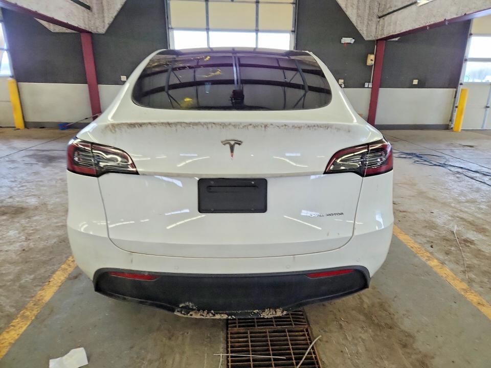 2020 Tesla Model y