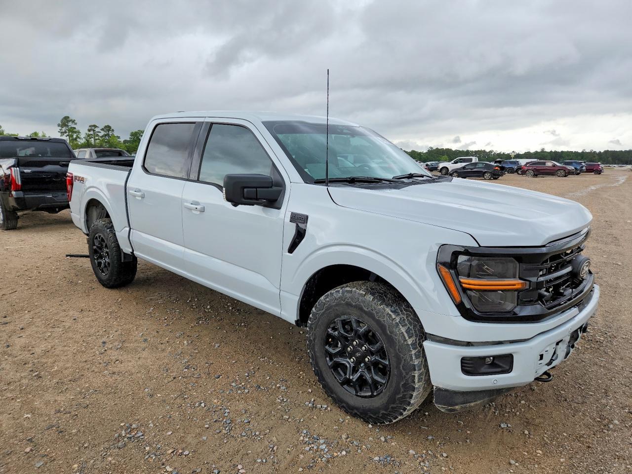 2025 Ford F150 XLT