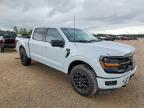2025 Ford F150 XLT