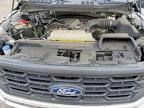 2024 Ford F150 XL