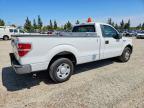 2009 Ford F150