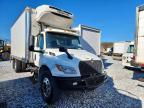 2025 International MV607 Refrigerated BOX Truck