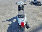 2022 Genuine Scooter Co. Buddy Kick