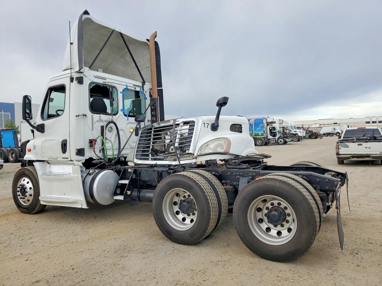 2015 Freigliner Cascadia 113