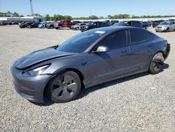Tesla salvage cars for sale: 2023 Tesla Model 3