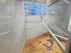 2025 Calico Livestock Trailer