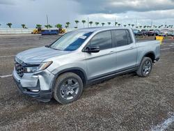 Salvage trucks for sale at Clewiston, FL auction: 2025 Honda Ridgeline Trail Sport