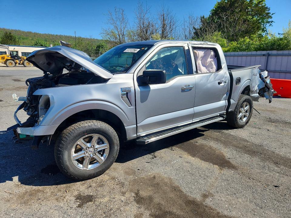 2025 Ford F150 XLT