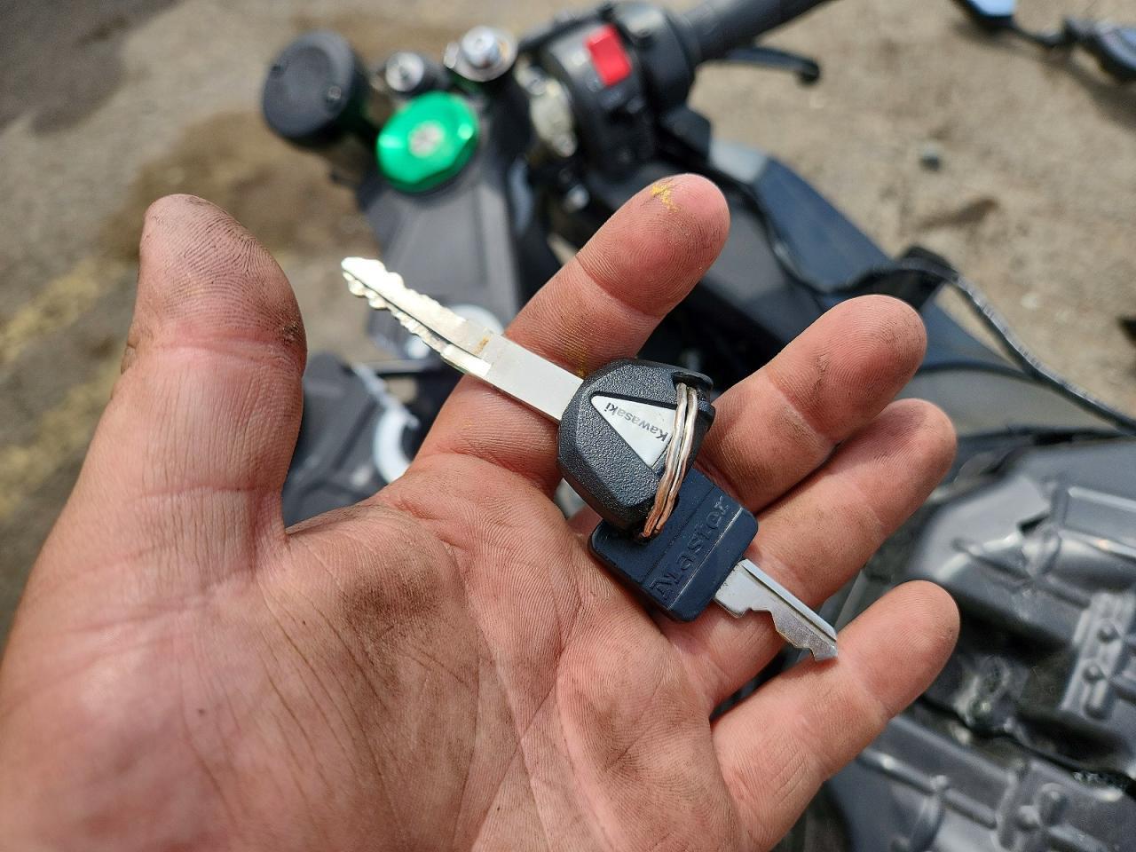 2016 Kawasaki ZX1000 S