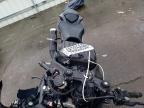 2026 Kawasaki ZX636 K