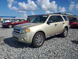 Ford salvage cars for sale: 2011 Ford Escape xlt