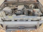 2008 Toyota Tacoma Base