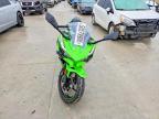 2025 Kawasaki EX500 H