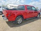 2024 Ford F150 XLT